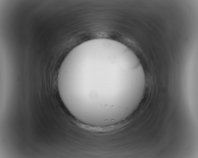 X0000085320030200703091124