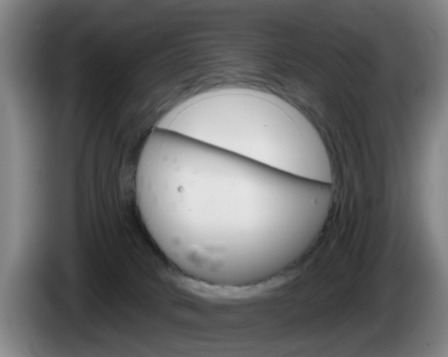 X0000085320034200703091124