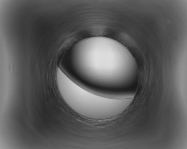 X0000085320035200703091124