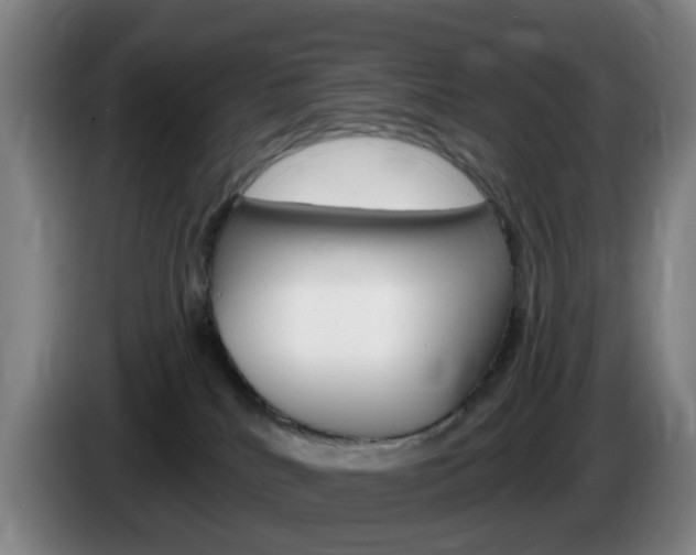 X0000085320040200703091124