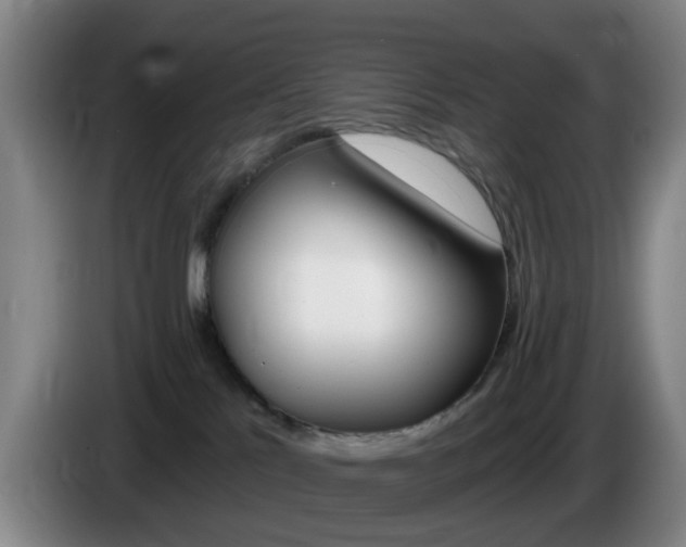 X0000085320041200703091124