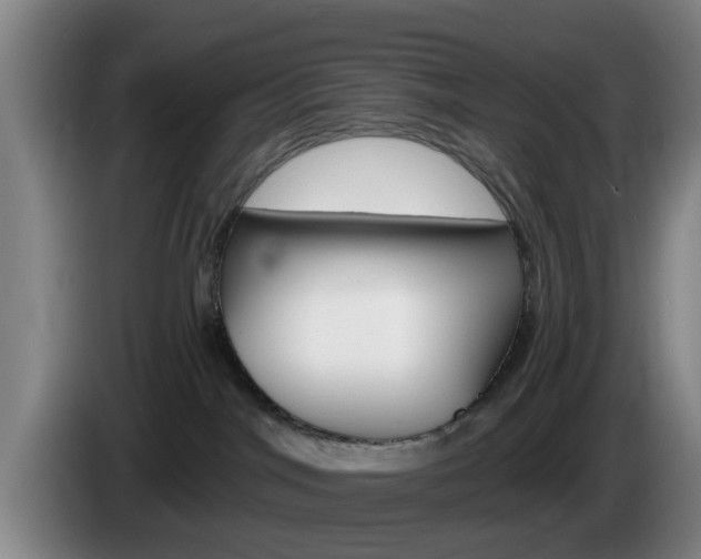 X0000085320044200703091124