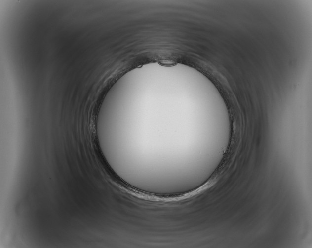 X0000085320048200703091124