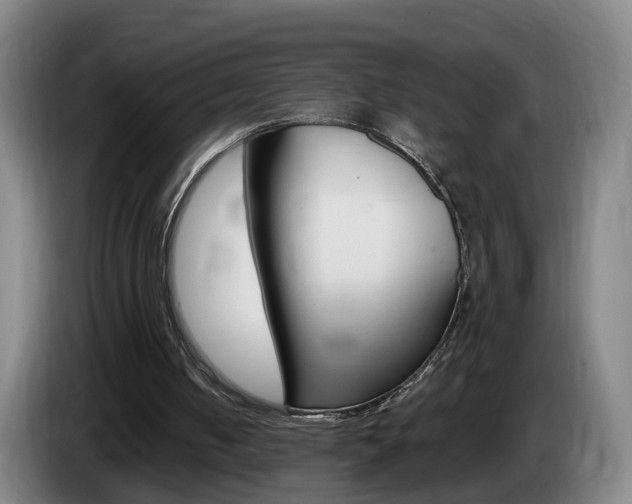 X0000085320050200703091123