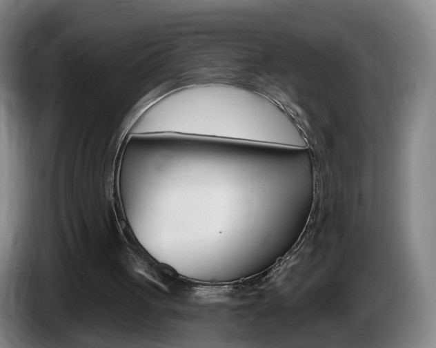 X0000085320051200703091123