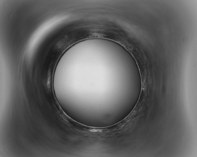 X0000085320052200703091123