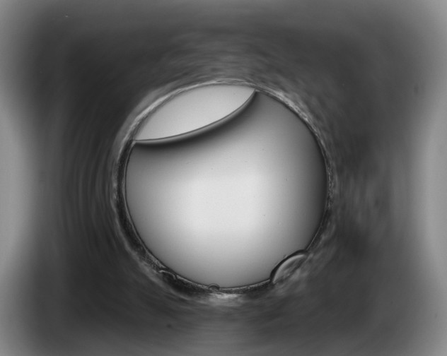 X0000085320055200703091123