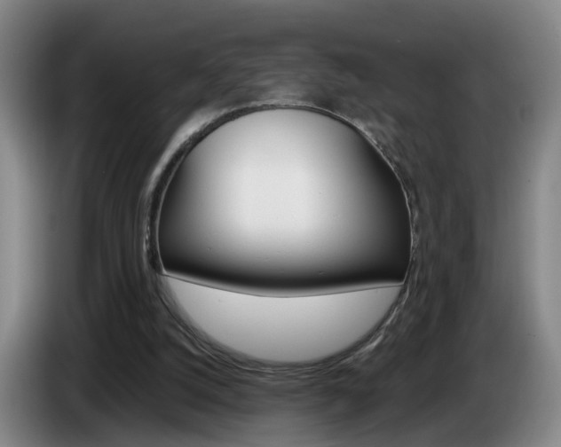 X0000085320056200703091123