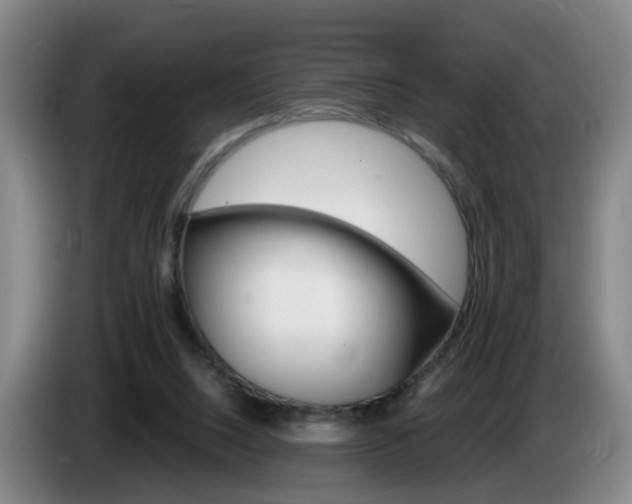 X0000085320064200703091124