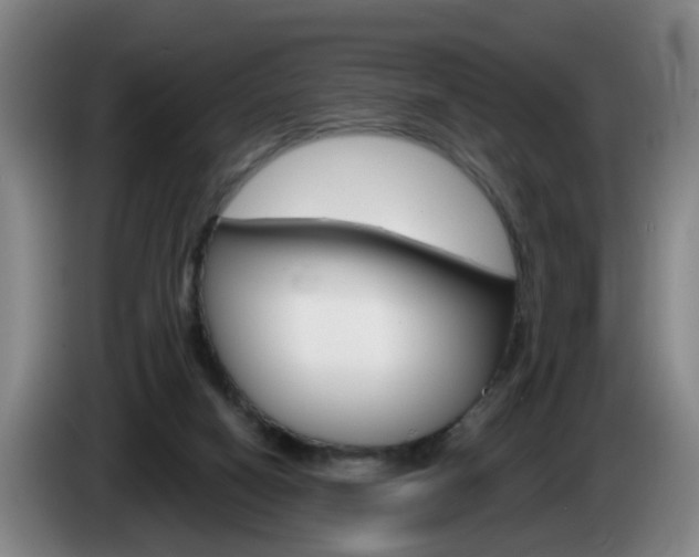 X0000085320066200703091124