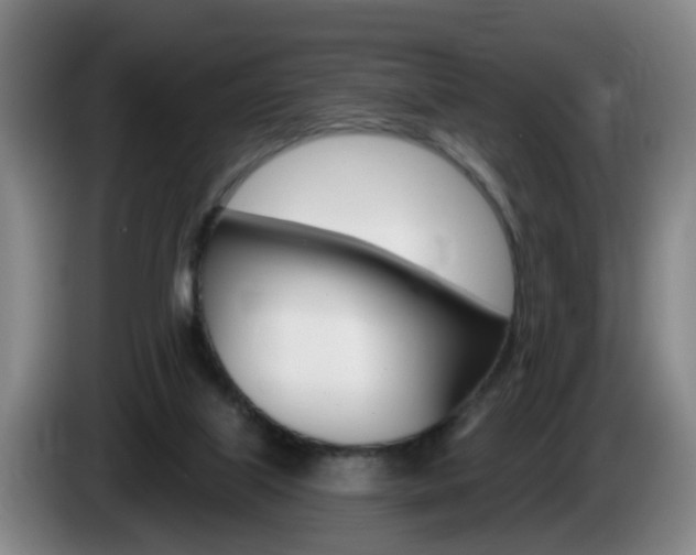X0000085320067200703091124