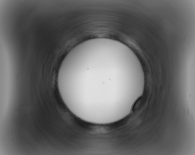 X0000085320073200703091124