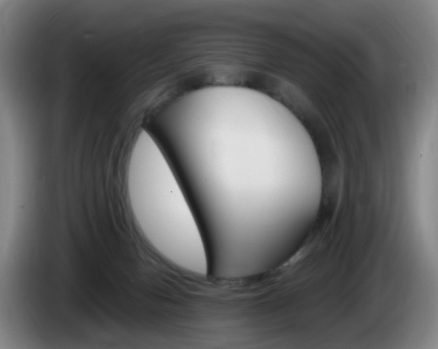 X0000085320078200703091124