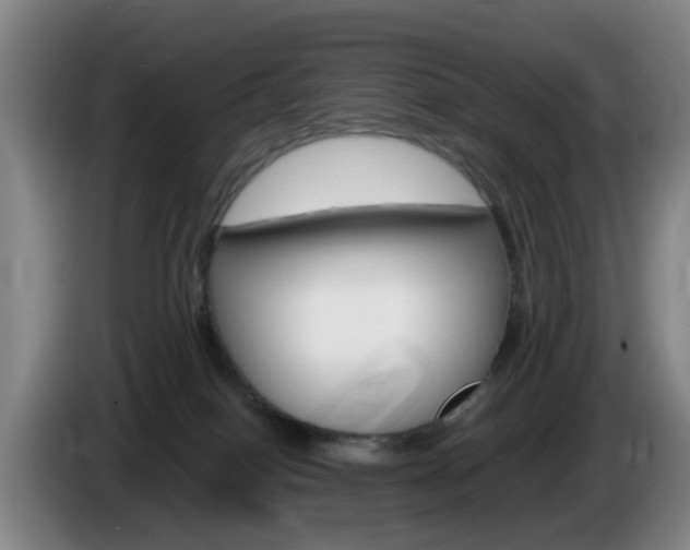 X0000085320086200703091124