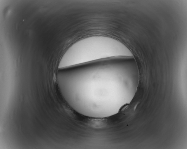 X0000085320089200703091124