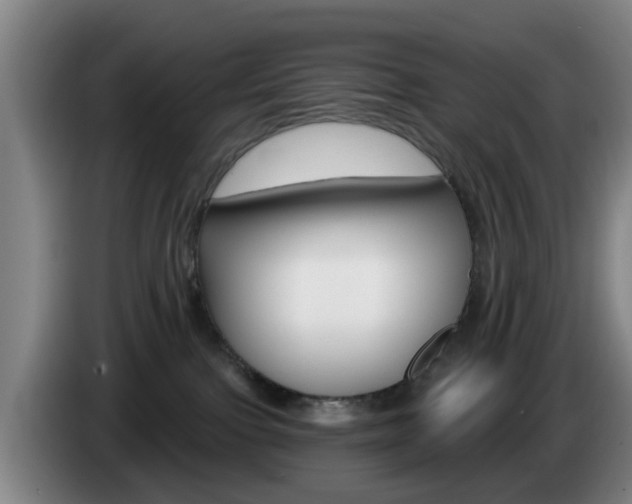 X0000085320091200703091124