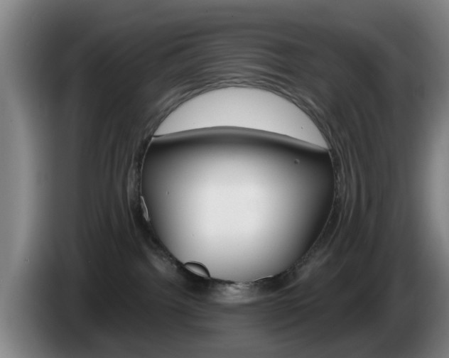 X0000085320092200703091124