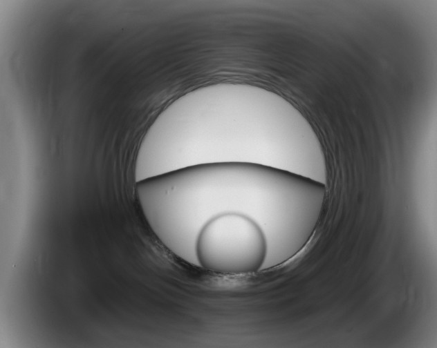 X0000085320094200703091124