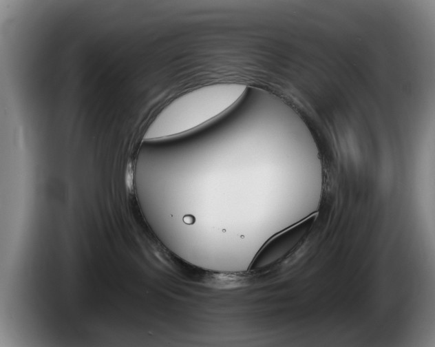 X0000085320095200703091124
