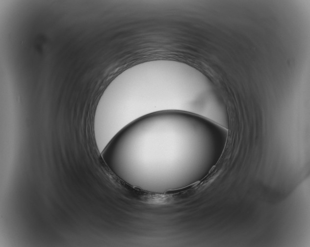 X0000085320096200703091124