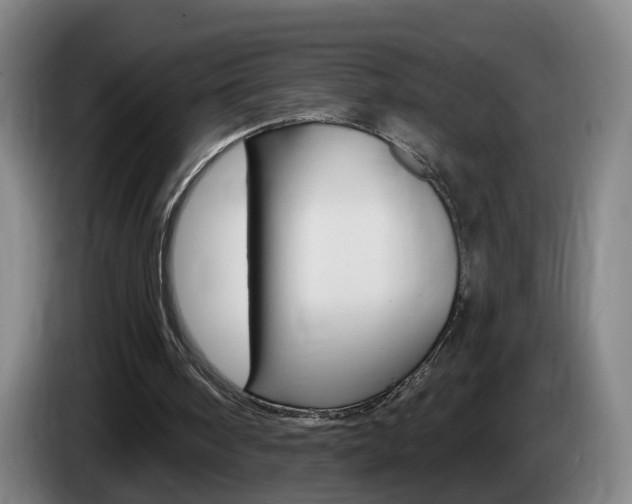 X0000085320098200703091123
