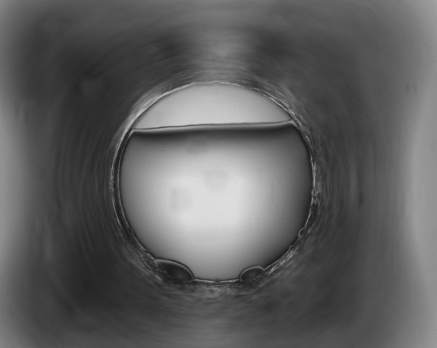X0000085320099200703091123