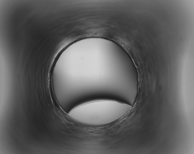 X0000085320100200703091123