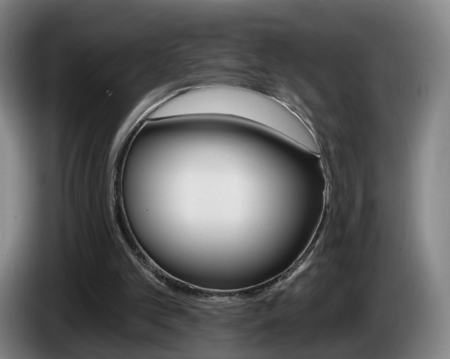X0000085320101200703091123