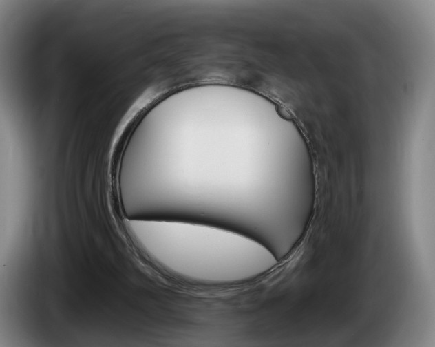 X0000085320102200703091123