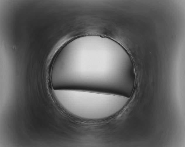 X0000085320103200703091123