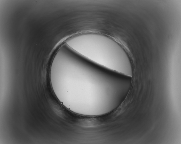 X0000085320108200703091123