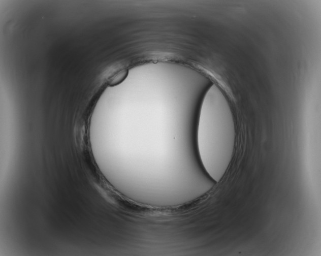 X0000085320110200703091123