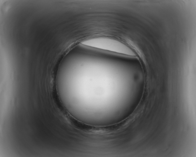 X0000085320113200703091123