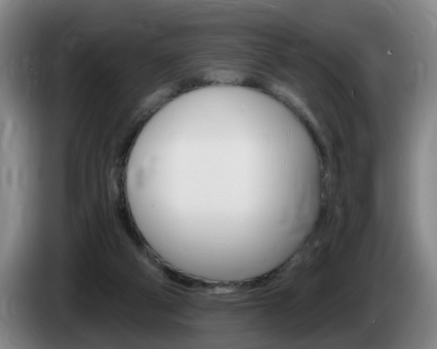 X0000085320114200703091123