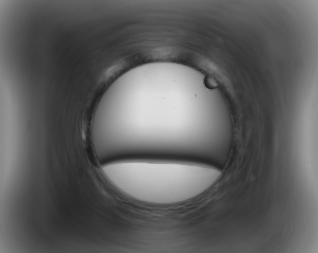 X0000085320115200703091123