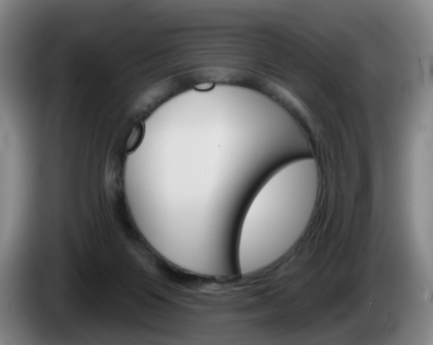 X0000085320119200703091123