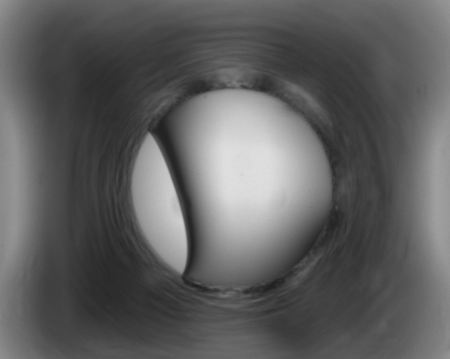 X0000085320121200703091123