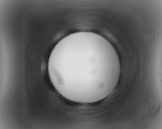 X0000085320124200703091123