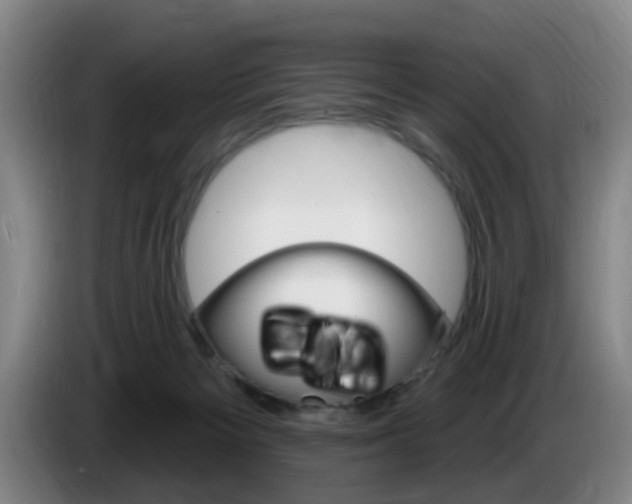 X0000085320125200703091123