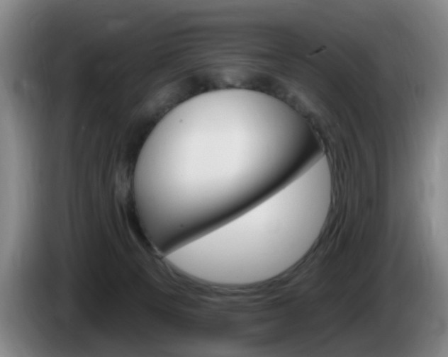 X0000085320129200703091123