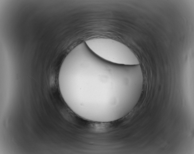 X0000085320134200703091123
