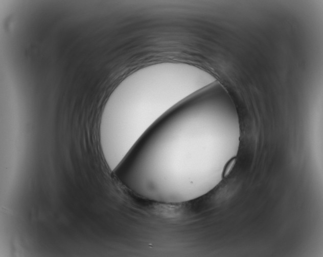 X0000085320139200703091123