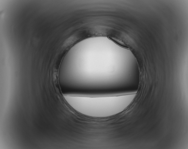X0000085320141200703091123