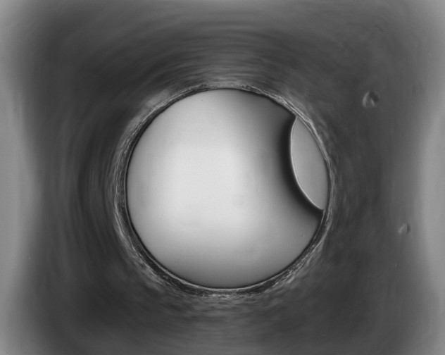 X0000085320145200703091122