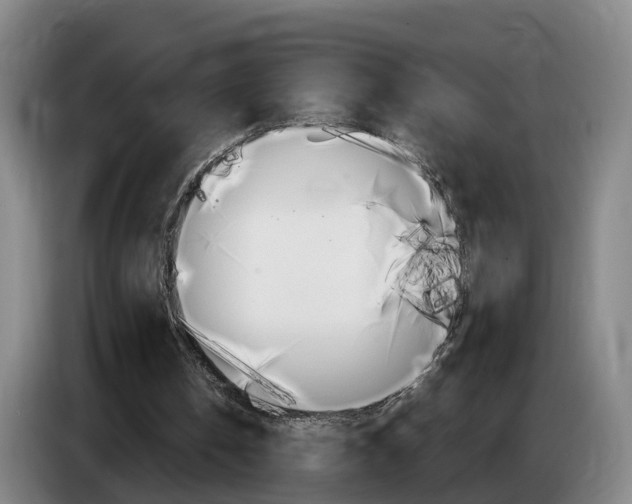 X0000085320146200703091122