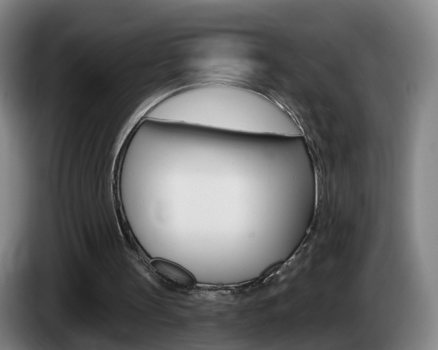 X0000085320147200703091122