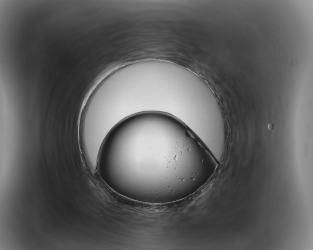 X0000085320148200703091122