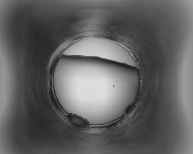 X0000085320149200703091122