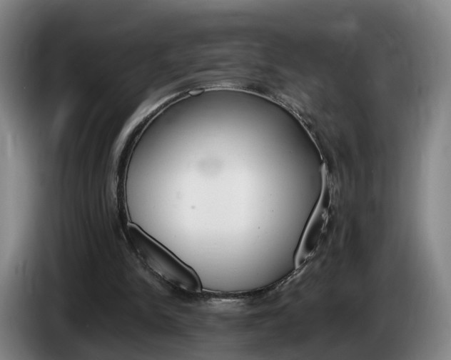 X0000085320150200703091122