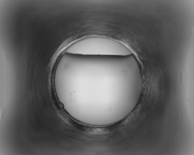 X0000085320151200703091122